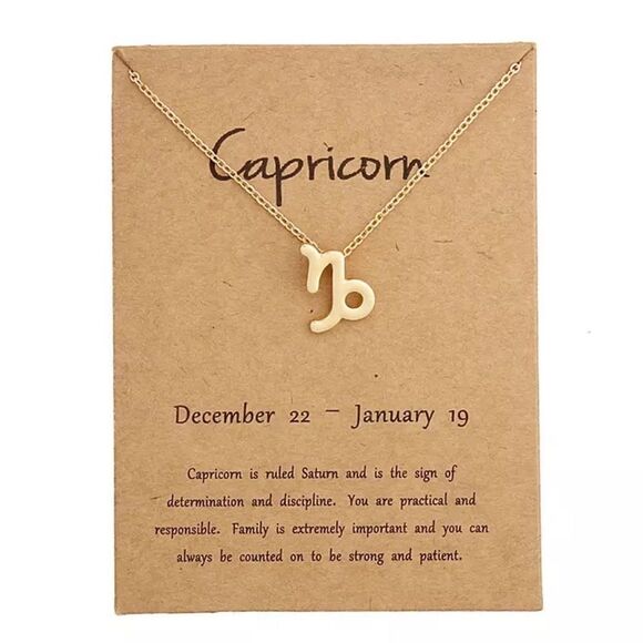 🆕Capricorn Zodiac Astrology Pendant Necklace - Picture 1 of 5